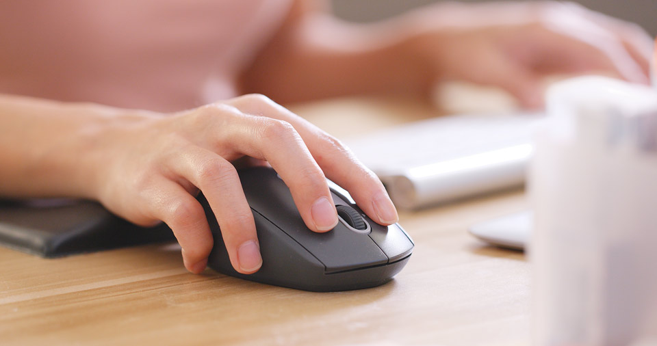 manual software testing