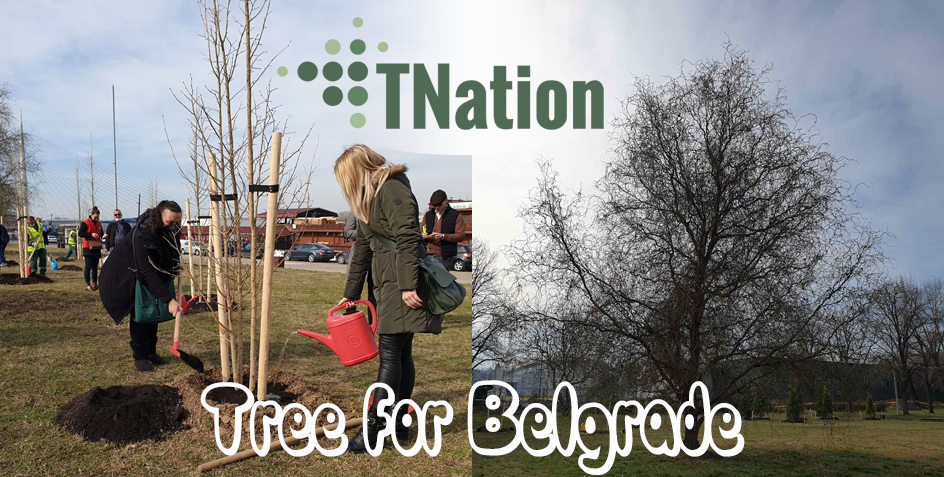 tree for belgrade initiative tnation