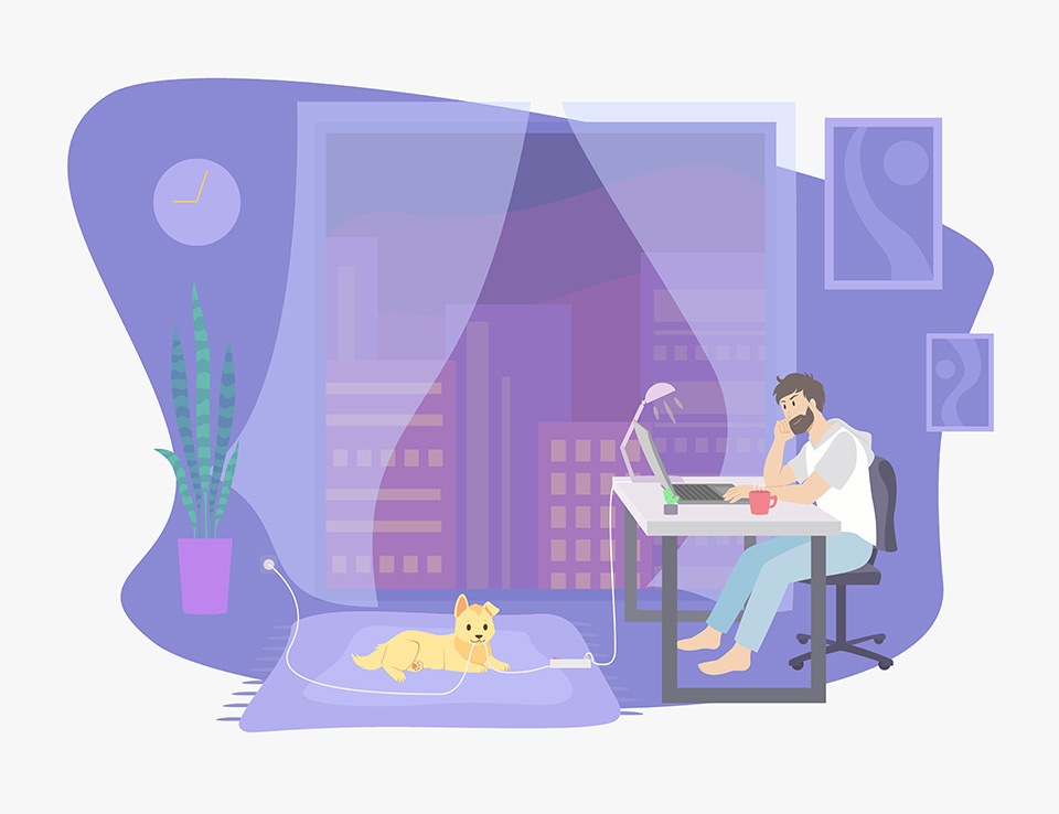 software-developer-work-from-home