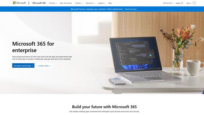 Most Popular Enterprise Application Example