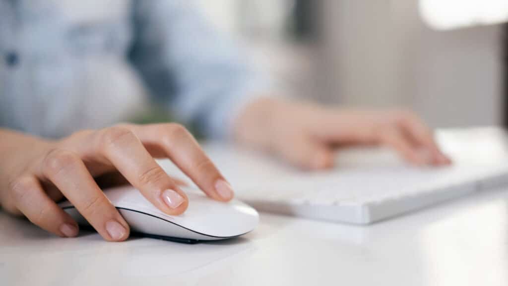 IT vs. Software Company: What's the Difference